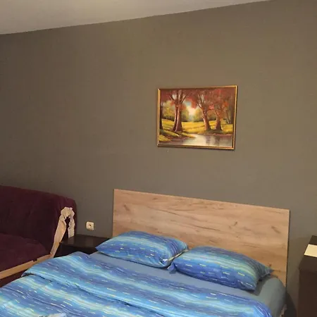 Apartment Viktor 2 Stan Na Dan Sabac