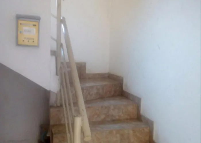 Viktor 2 Stan Na Dan *